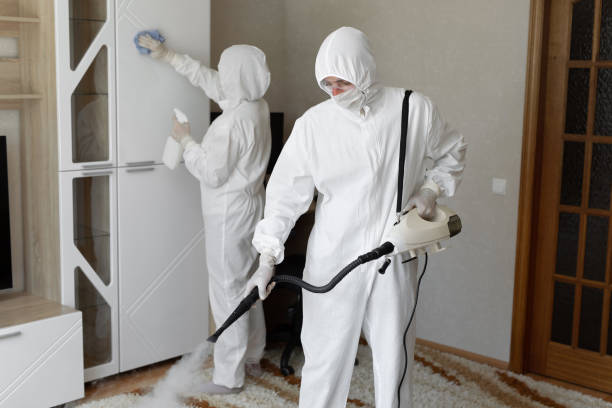 Water Damage Restoration in North Pekin, IL
