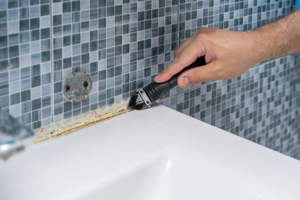 North Pekin, IL Mold Removal Company